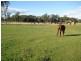 490 Weetah Road, Weetah TAS 7304