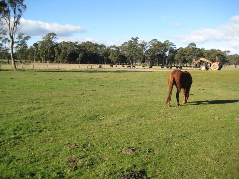 490 Weetah Road, Weetah TAS 7304