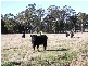 490 Weetah Road, Weetah TAS 7304