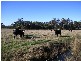 490 Weetah Road, Weetah TAS 7304