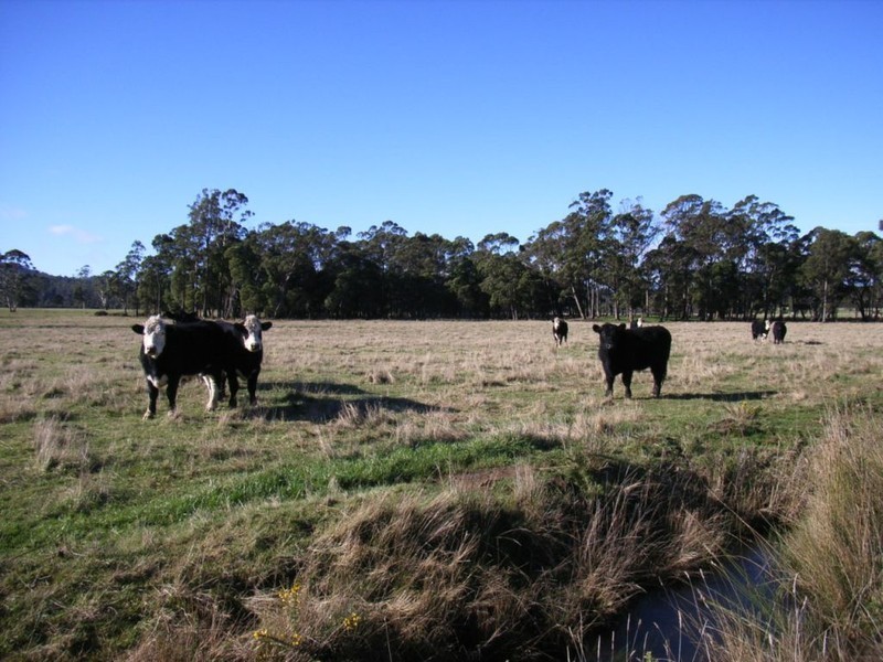 490 Weetah Road, Weetah TAS 7304
