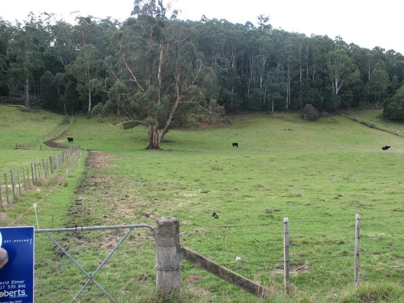 . Mersey Hill Road, Mole Creek TAS 7304