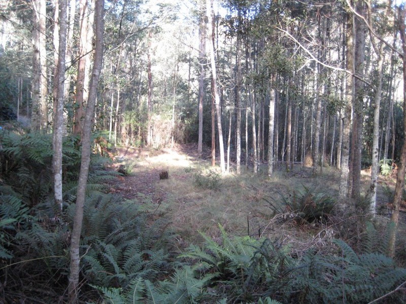 1140 Bogan Road, Golden Valley TAS 7304