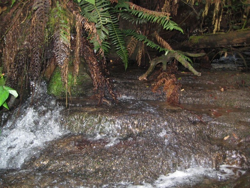 1140 Bogan Road, Golden Valley TAS 7304