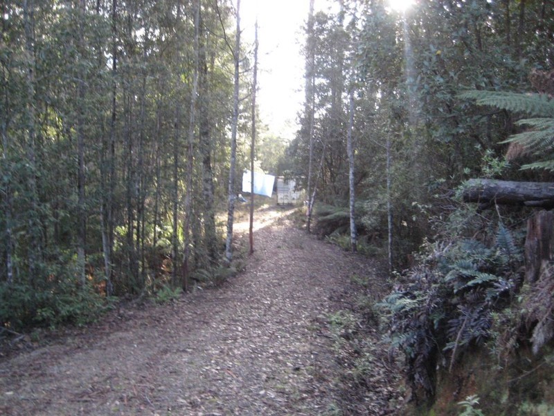 1140 Bogan Road, Golden Valley TAS 7304