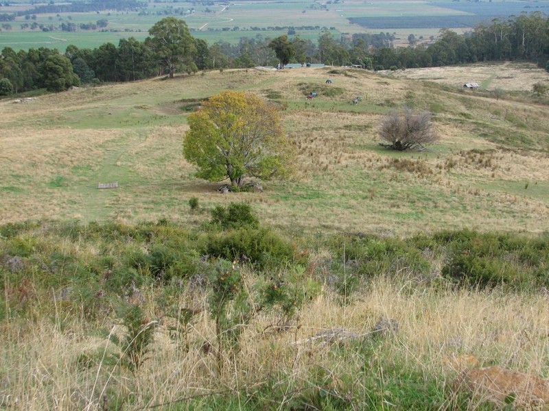 . Brodies Road, Golden Valley TAS 7304