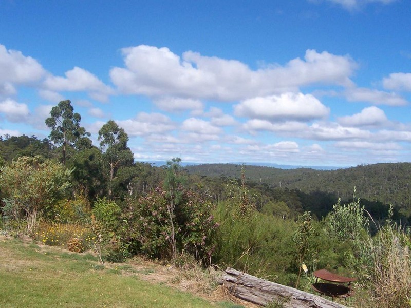 194 Priestleys Lane, Birralee TAS 7303