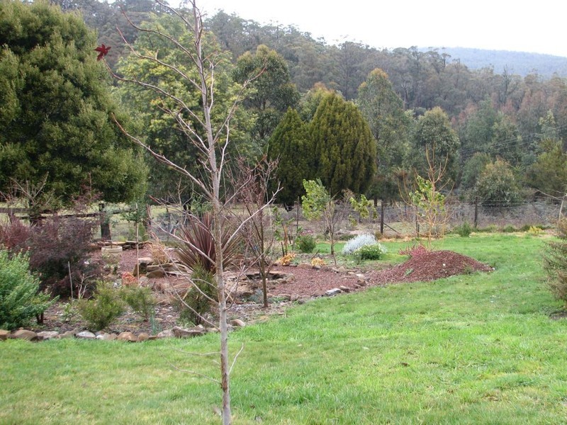 194 Priestleys Lane, Birralee TAS 7303