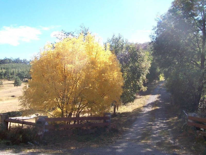 194 Priestleys Lane, Birralee TAS 7303