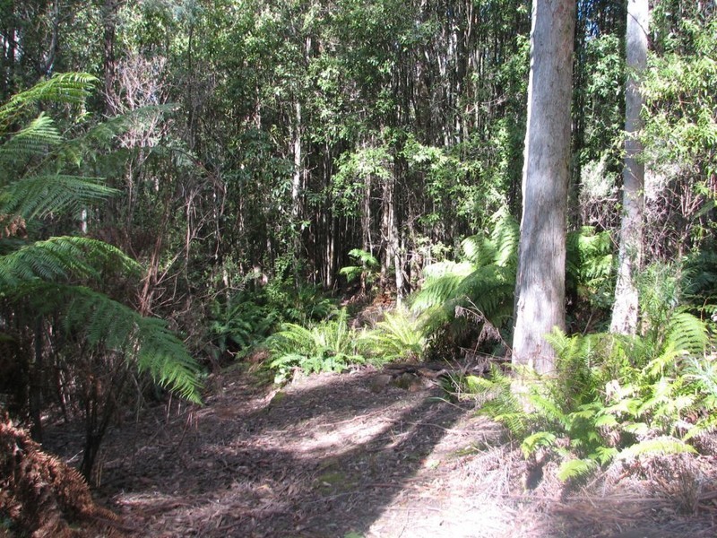 . Highland Lakes Road, Golden Valley TAS 7304