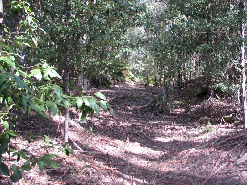 . Highland Lakes Road, Golden Valley TAS 7304