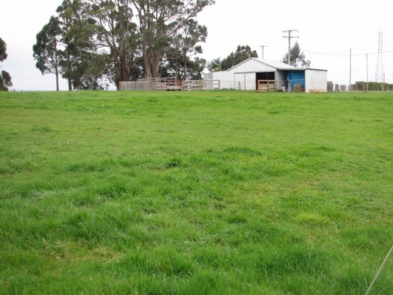 61 Archer Street, Deloraine TAS 7304