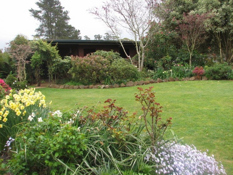 61 Archer Street, Deloraine TAS 7304