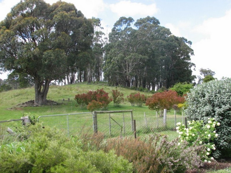 529 Mersey Hill Road, Mole Creek TAS 7304