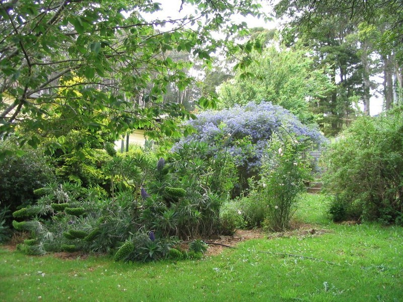 5824  Bass Highway, Elizabeth Town TAS 7304