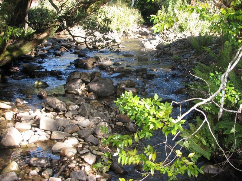 30 Fellows Road, Western Creek TAS 7304