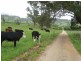 148 Caveside Road, Mole Creek TAS 7304