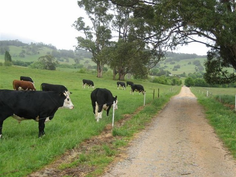 148 Caveside Road, Mole Creek TAS 7304