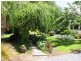 148 Caveside Road, Mole Creek TAS 7304
