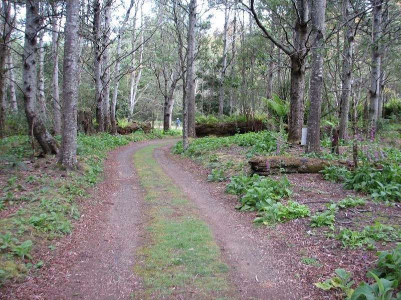 - Riversdale Road, Liffey TAS 7301