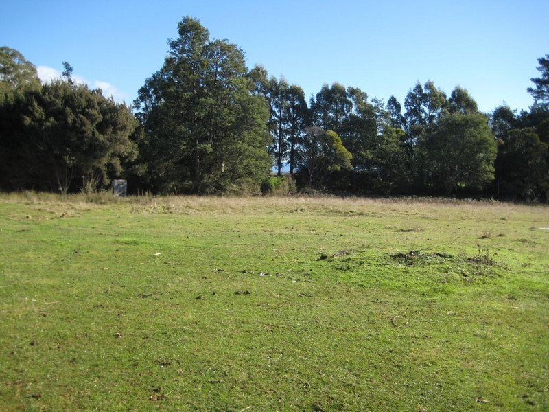 569 Western Creek Road, Western Creek TAS 7304