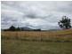 685 Cheshunt Road, Western Creek TAS 7304