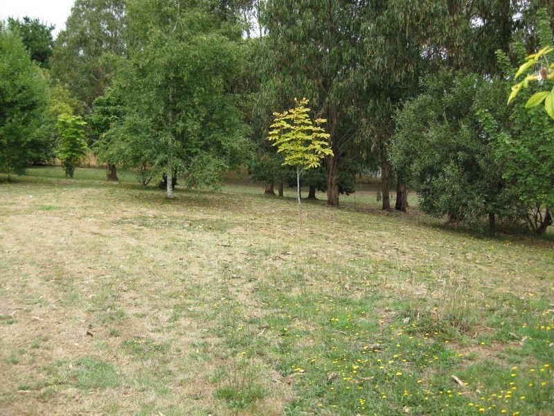685 Cheshunt Road, Western Creek TAS 7304