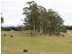 5273 Bass Highway, Deloraine TAS 7304