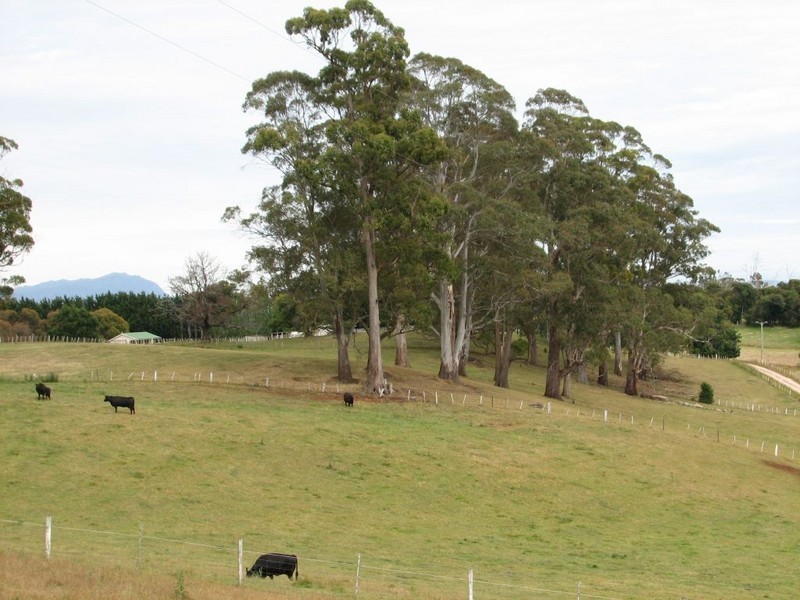 5273 Bass Highway, Deloraine TAS 7304