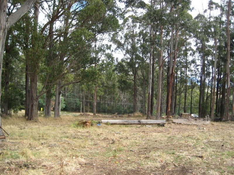 10  Bonney Street, Elizabeth Town TAS 7304