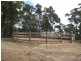10 Bonney Street, Elizabeth Town TAS 7304