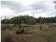 10 Bonney Street, Elizabeth Town TAS 7304