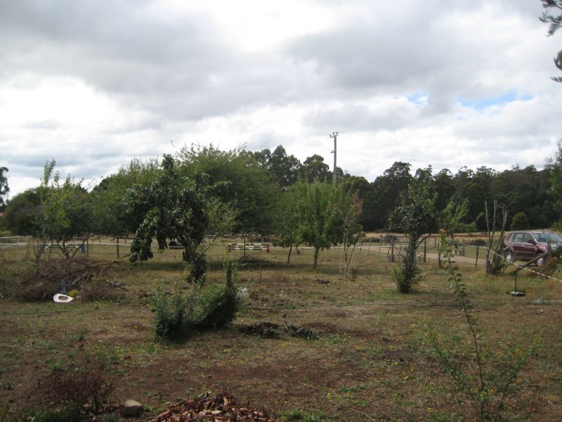 10 Bonney Street, Elizabeth Town TAS 7304
