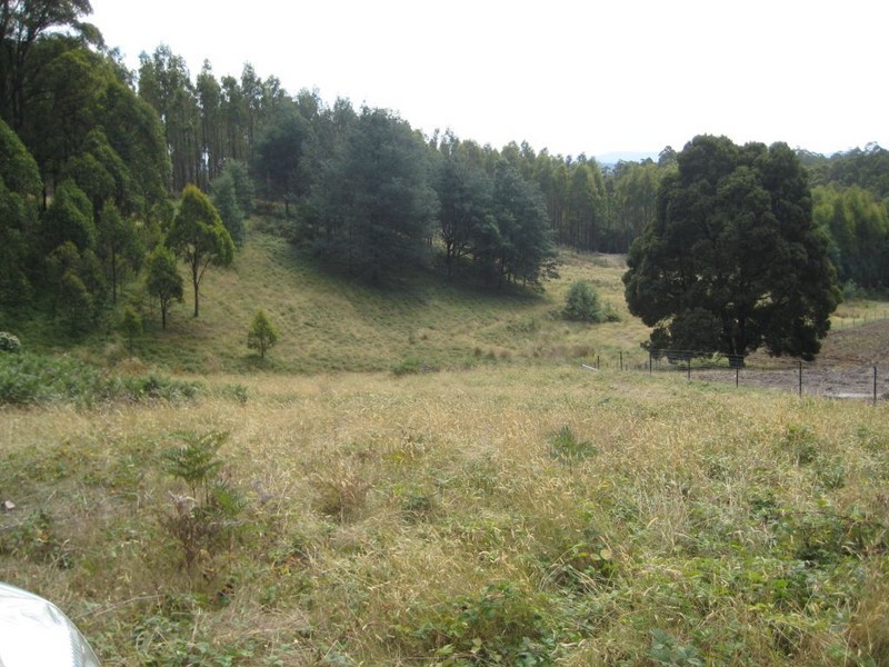 Lot 1 East Meander Road, Meander TAS 7304