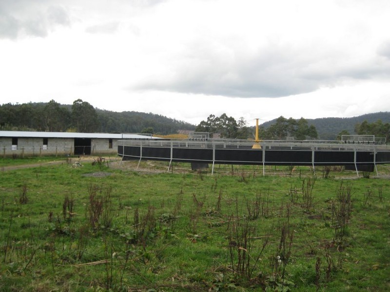 1420 Mole Creek Road, Chudleigh TAS 7304