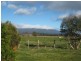 1420 Mole Creek Road, Chudleigh TAS 7304