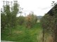 1420 Mole Creek Road, Chudleigh TAS 7304