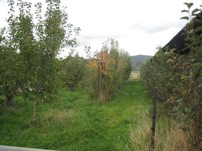 1420 Mole Creek Road, Chudleigh TAS 7304