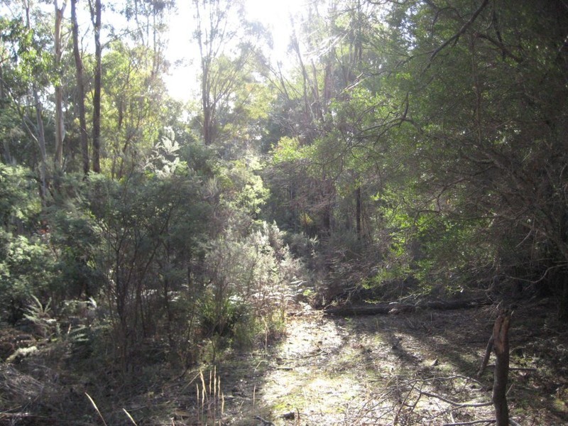 Lot 3 Hill Street, Elizabeth Town TAS 7304