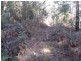 Lot 3 Hill Street, Elizabeth Town TAS 7304
