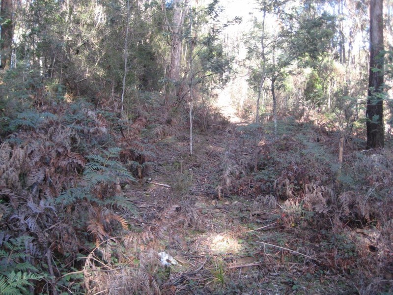 Lot 3 Hill Street, Elizabeth Town TAS 7304