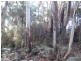 Lot 3 Hill Street, Elizabeth Town TAS 7304