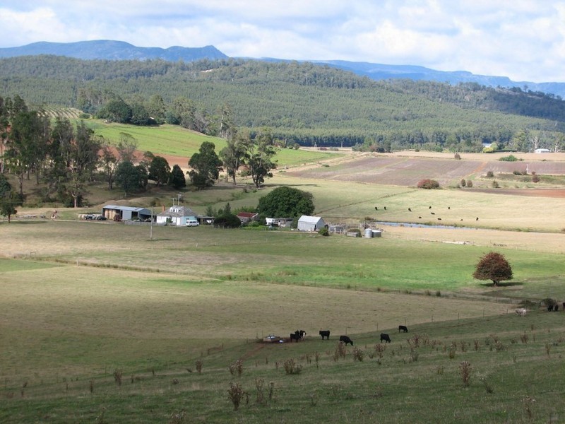 576 Bengeo Road, Red Hills TAS 7304