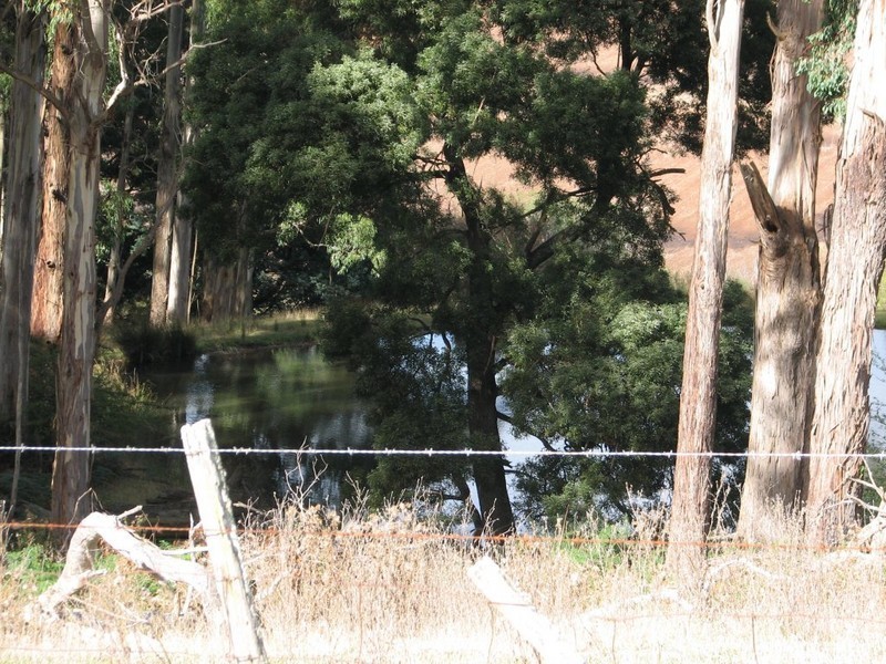 576 Bengeo Road, Red Hills TAS 7304