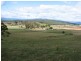 576 Bengeo Road, Red Hills TAS 7304