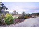 570  Union Bridge Road, Mole Creek TAS 7304