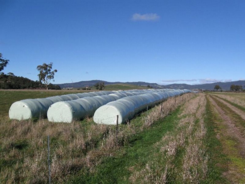 - Shaws Road, Parkham TAS 7304