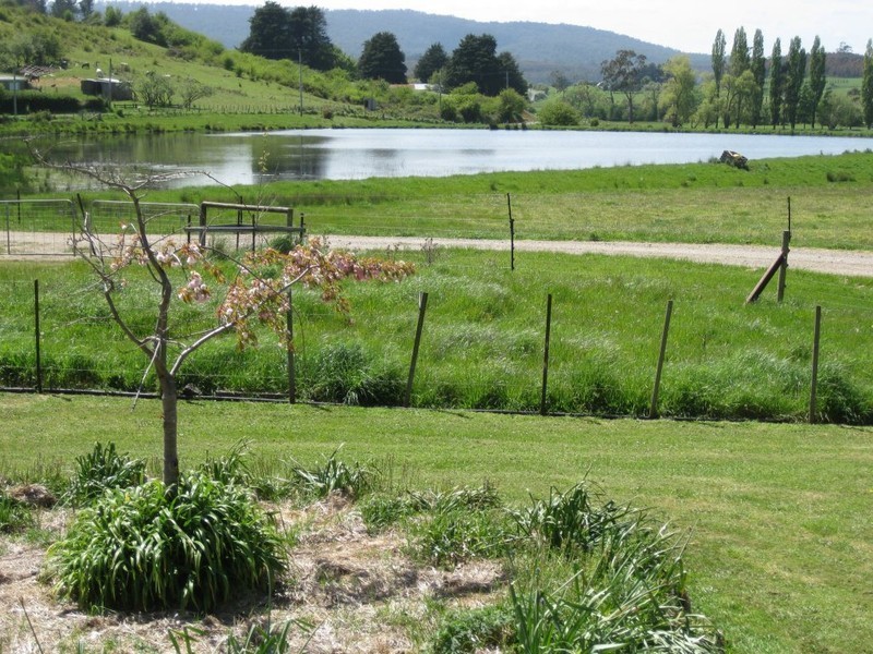 488 Dunorlan Road, Dunorlan TAS 7304