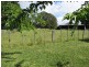 Lot 7 East Westbury Place, Deloraine TAS 7304