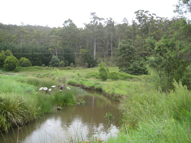 399 Priestleys Lane, Birralee TAS 7303